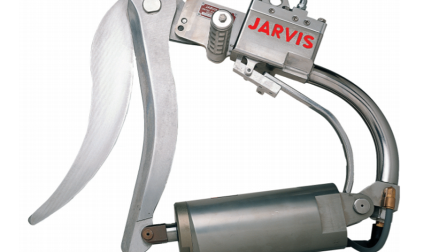 Jarvis Sheep Brisket Scissor